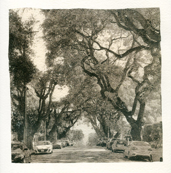 024 Tree-lined Street 2018 Sara Yerkes_1