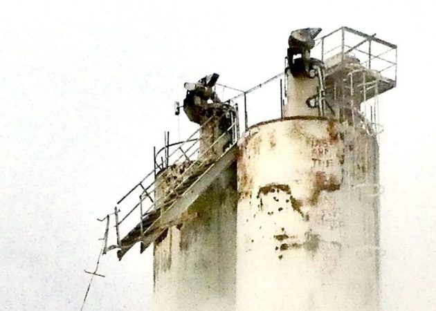 13 - Website